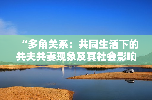 “多角关系：共同生活下的共夫共妻现象及其社会影响探析”