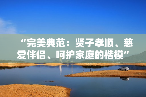 “完美典范：贤子孝顺、慈爱伴侣、呵护家庭的楷模”