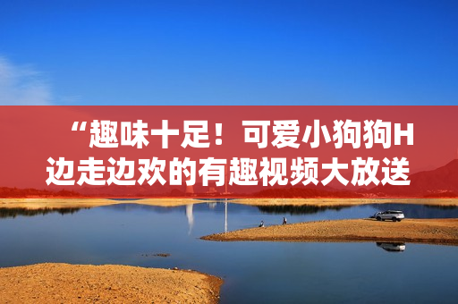 “趣味十足！可爱小狗狗H边走边欢的有趣视频大放送！”