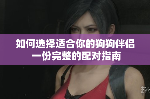 如何选择适合你的狗狗伴侣 一份完整的配对指南