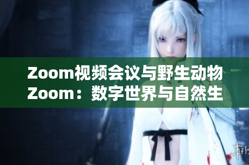 Zoom视频会议与野生动物Zoom：数字世界与自然生态的奇妙对话
