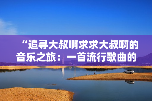 “追寻大叔啊求求大叔啊的音乐之旅：一首流行歌曲的背后故事”