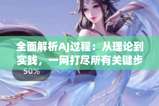 全面解析AJ过程：从理论到实践，一网打尽所有关键步骤！