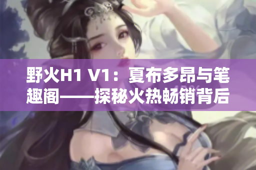 野火H1 V1：夏布多昂与笔趣阁——探秘火热畅销背后的故事