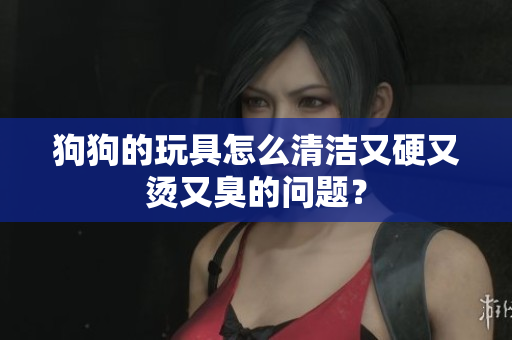狗狗的玩具怎么清洁又硬又烫又臭的问题？