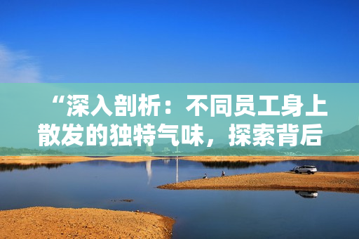 “深入剖析：不同员工身上散发的独特气味，探索背后的意义与影响”