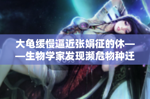 大龟缓慢逼近张娟征的休——生物学家发现濒危物种迁徙新现象