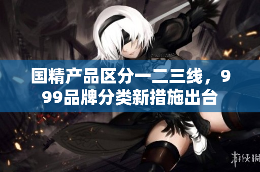 国精产品区分一二三线，999品牌分类新措施出台