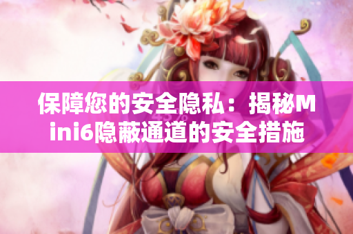保障您的安全隐私：揭秘Mini6隐蔽通道的安全措施