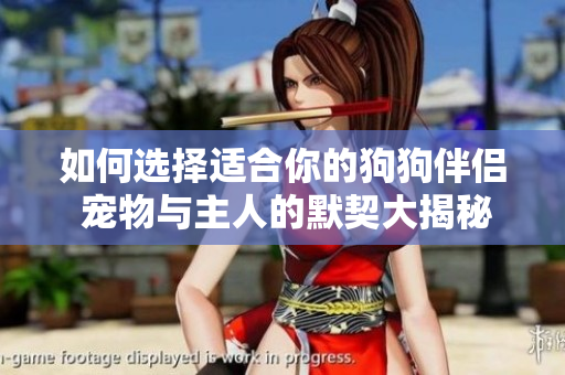 如何选择适合你的狗狗伴侣 宠物与主人的默契大揭秘
