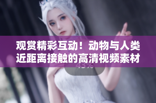 观赏精彩互动！动物与人类近距离接触的高清视频素材现已提供下载