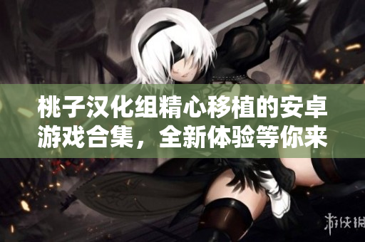 桃子汉化组精心移植的安卓游戏合集，全新体验等你来探索！