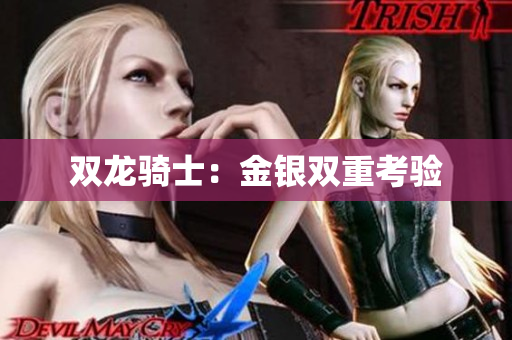 双龙骑士：金银双重考验
