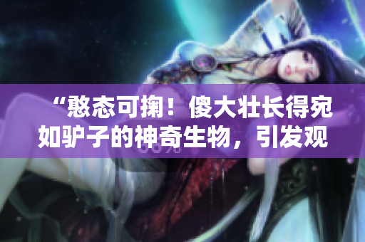 “憨态可掬！傻大壮长得宛如驴子的神奇生物，引发观众热议”