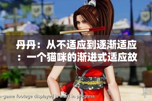 丹丹：从不适应到逐渐适应：一个猫咪的渐进式适应故事
