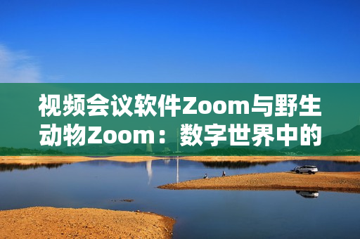 视频会议软件Zoom与野生动物Zoom：数字世界中的连接与奇妙对比