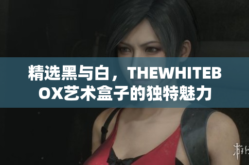 精选黑与白，THEWHITEBOX艺术盒子的独特魅力