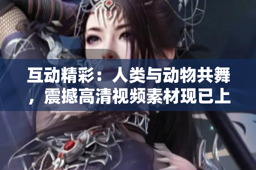 互动精彩：人类与动物共舞，震撼高清视频素材现已上线