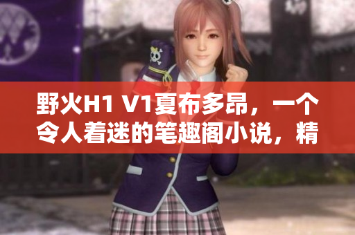 野火H1 V1夏布多昂，一个令人着迷的笔趣阁小说，精彩纷呈。