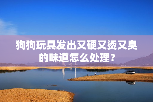 狗狗玩具发出又硬又烫又臭的味道怎么处理？