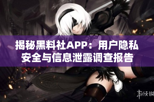 揭秘黑料社APP：用户隐私安全与信息泄露调查报告