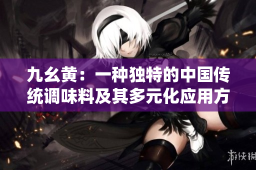 九幺黄：一种独特的中国传统调味料及其多元化应用方式