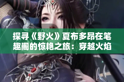 探寻《野火》夏布多昂在笔趣阁的惊艳之旅：穿越火焰的热情与勇气