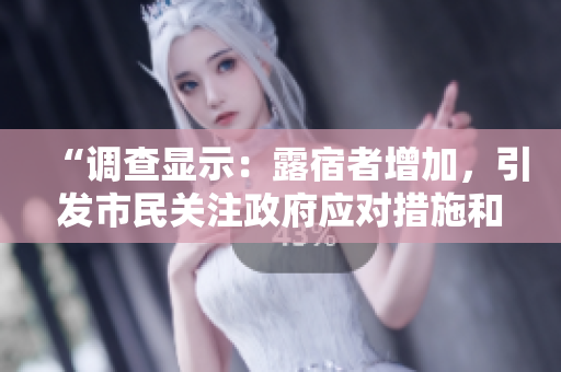 “调查显示：露宿者增加，引发市民关注政府应对措施和城市无家可归问题的讨论”