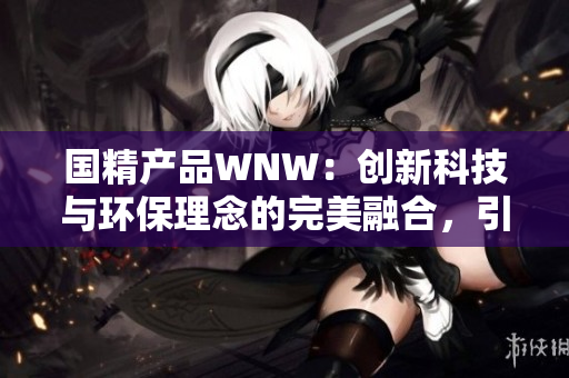 国精产品WNW：创新科技与环保理念的完美融合，引领未来可持续发展