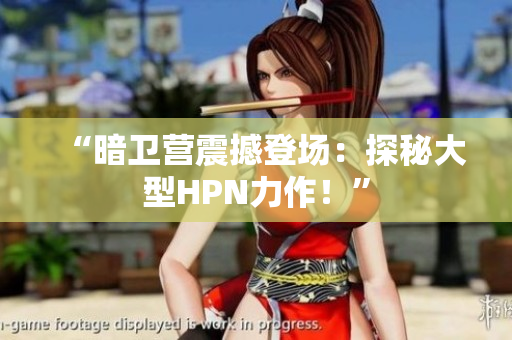 “暗卫营震撼登场：探秘大型HPN力作！”