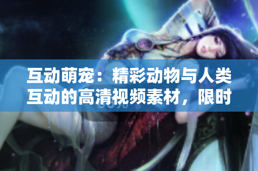 互动萌宠：精彩动物与人类互动的高清视频素材，限时下载！
