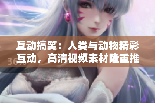 互动搞笑：人类与动物精彩互动，高清视频素材隆重推出