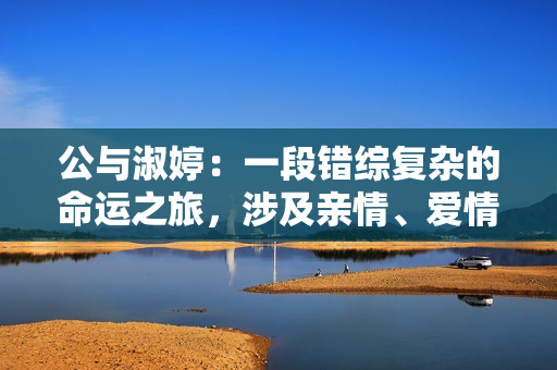 公与淑婷：一段错综复杂的命运之旅，涉及亲情、爱情和友谊的感人故事