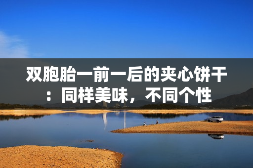 双胞胎一前一后的夹心饼干：同样美味，不同个性