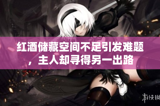 红酒储藏空间不足引发难题，主人却寻得另一出路
