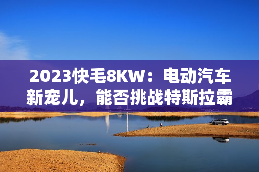 2023快毛8KW：电动汽车新宠儿，能否挑战特斯拉霸主地位？