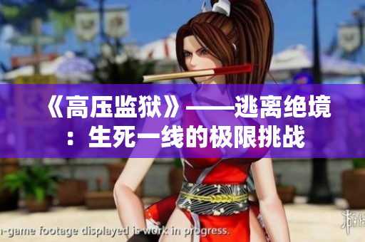 《高压监狱》——逃离绝境：生死一线的极限挑战
