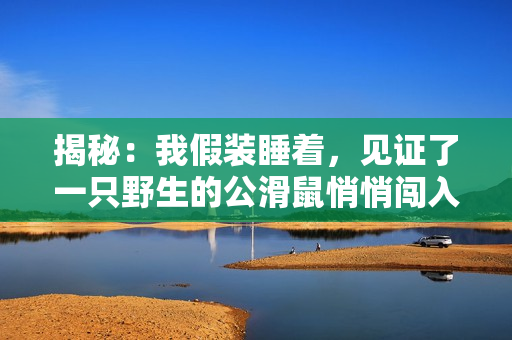 揭秘：我假装睡着，见证了一只野生的公滑鼠悄悄闯入我的房间