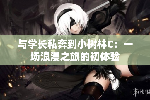 与学长私奔到小树林C：一场浪漫之旅的初体验