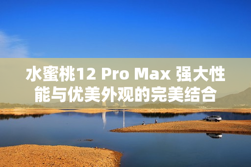 水蜜桃12 Pro Max 强大性能与优美外观的完美结合