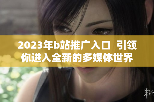 2023年b站推广入口  引领你进入全新的多媒体世界