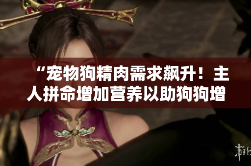 “宠物狗精肉需求飙升！主人拼命增加营养以助狗狗增重增食欲”