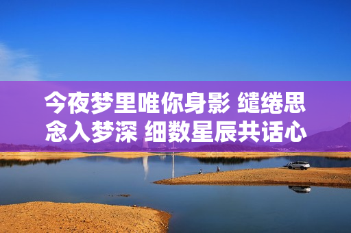 今夜梦里唯你身影 缱绻思念入梦深 细数星辰共话心声 让我心跳为你停