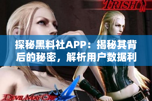 探秘黑料社APP：揭秘其背后的秘密，解析用户数据利用与隐私保护措施