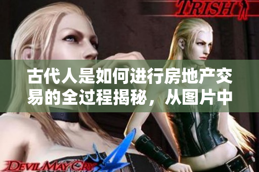 古代人是如何进行房地产交易的全过程揭秘，从图片中揭示古代行房方式。