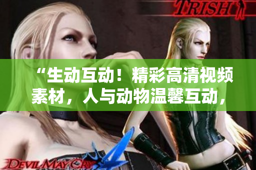 “生动互动！精彩高清视频素材，人与动物温馨互动，感动心灵，触动情感！”