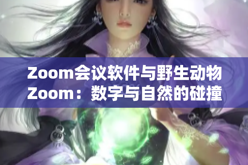 Zoom会议软件与野生动物Zoom：数字与自然的碰撞