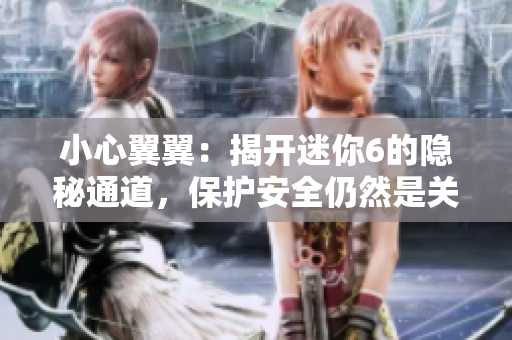 小心翼翼：揭开迷你6的隐秘通道，保护安全仍然是关键