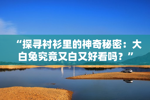 “探寻衬衫里的神奇秘密：大白兔究竟又白又好看吗？”