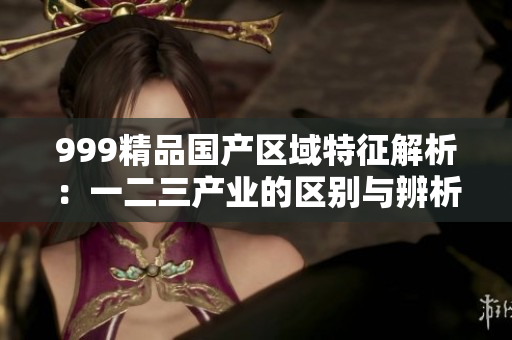 999精品国产区域特征解析：一二三产业的区别与辨析